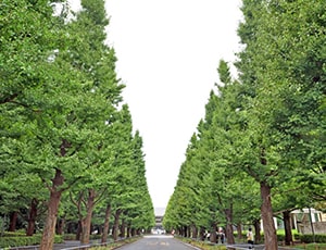 慶應義塾大学日吉キャンパス
